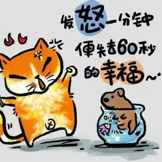 灼灼韶华风禾起